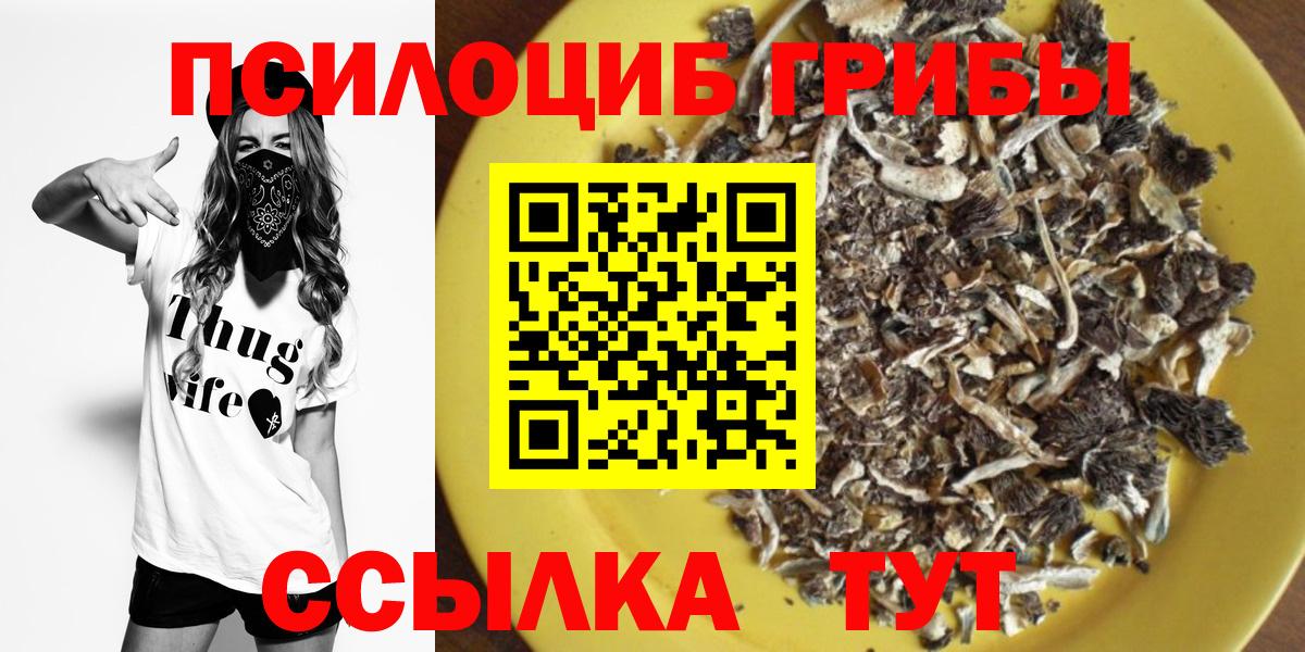 Северобайкальск  Псилоцибиновые грибы MAGIC MUSHROOMS  Вход с VPN 